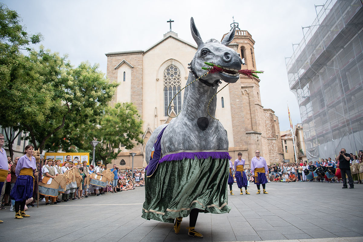 La Mulassa de Sabadell | Roger Benet