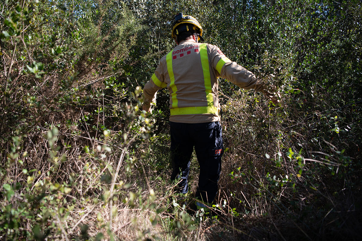 Moment de la batuda a la zona de Castellarnau | Roger Benet