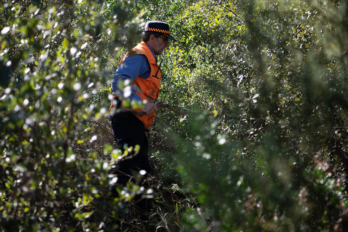 Moment de la batuda a la zona de Castellarnau | Roger Benet