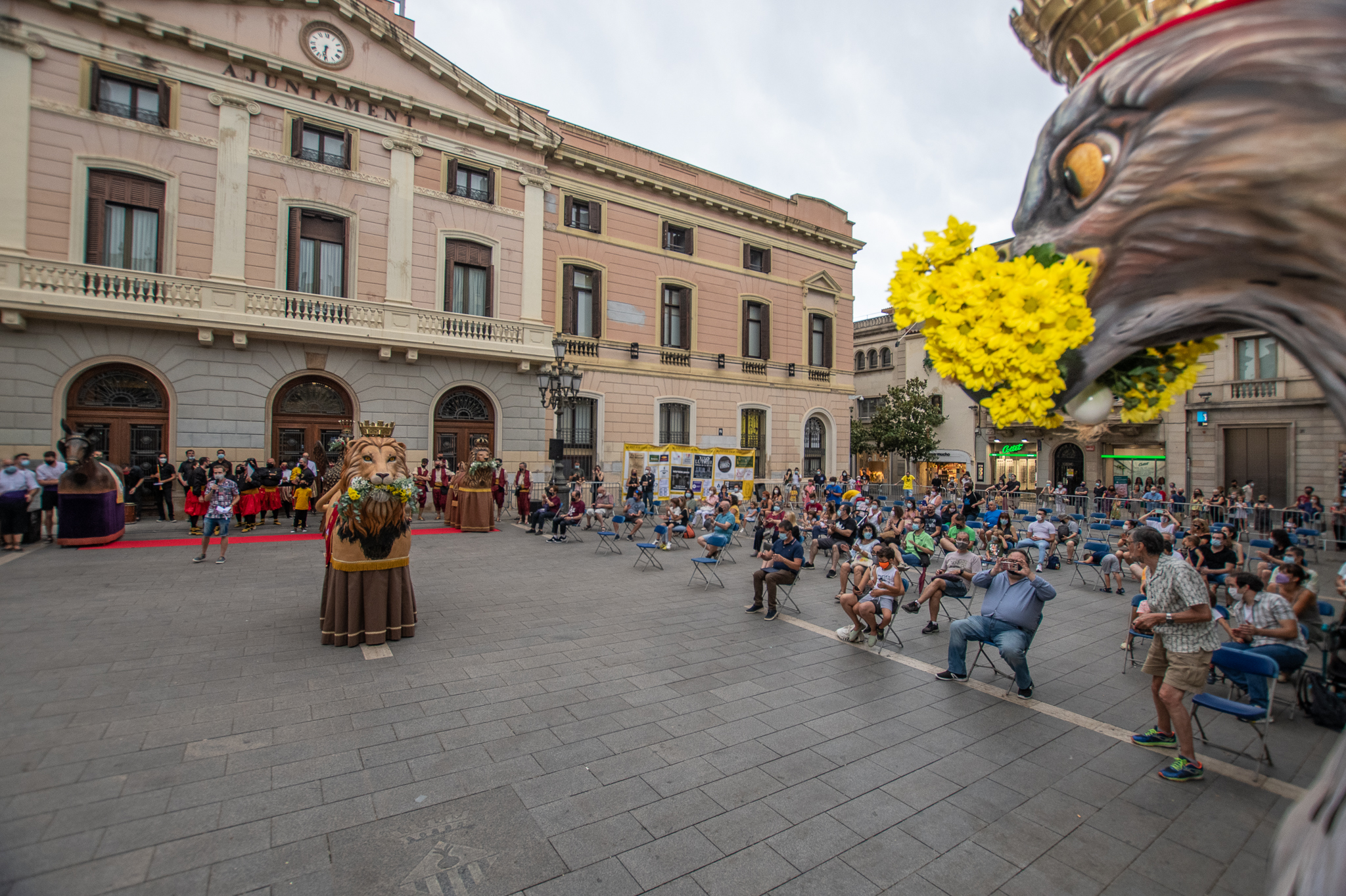 Lleó i Àliga