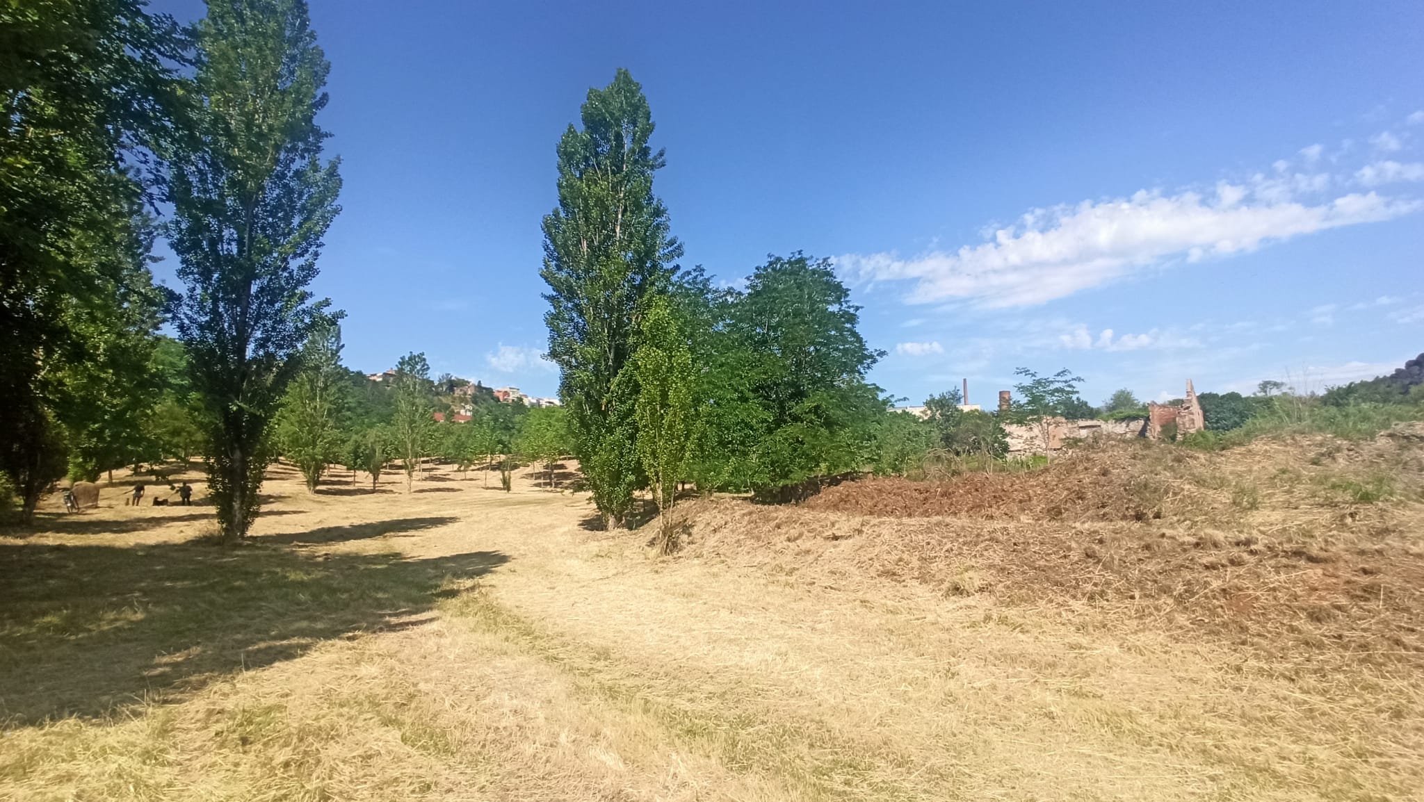 La zona de la font del Canyar | Pere Gallifa