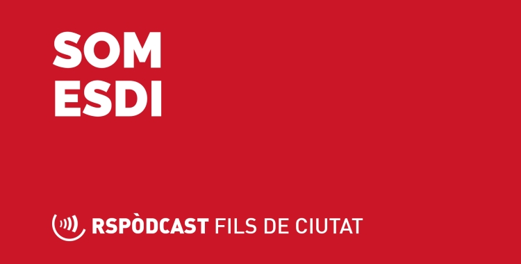 Som ESDI