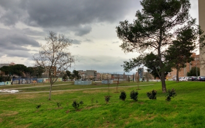 La plantació d'arbres al Parc del Nord va començar al gener