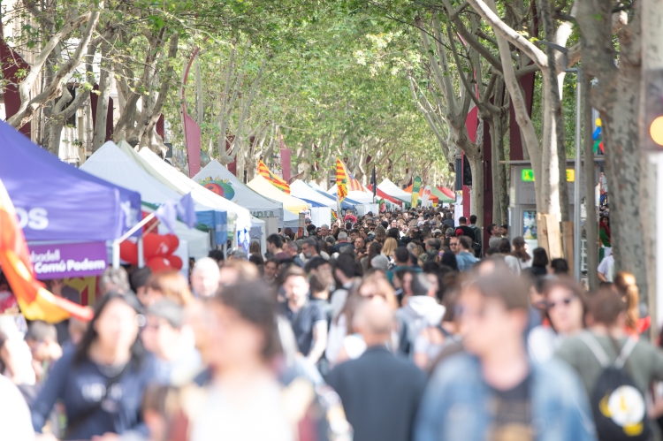 Sant Jordi
