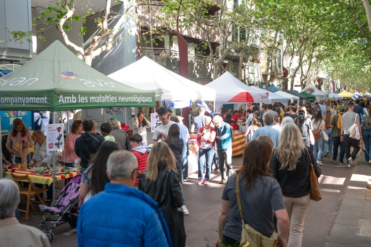Sant Jordi