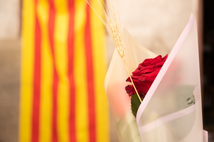 sant jordi