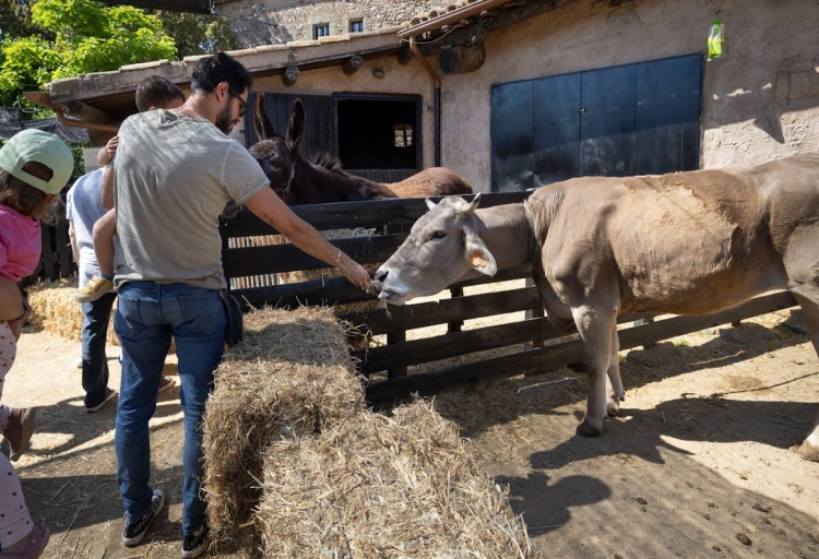 La visita a la Granja és una de les activitats clàssiques | Berta Tiana
